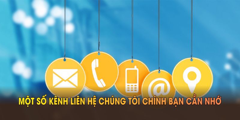 Một số kênh liên hệ chúng tôi chính bạn cần nhớ